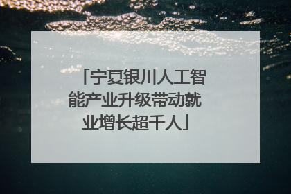 宁夏银川人工智能产业升级带动就业增长超千人