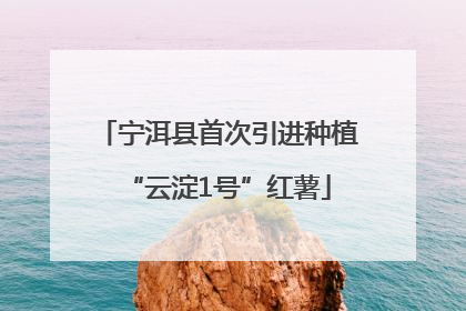 宁洱县首次引进种植“云淀1号”红薯