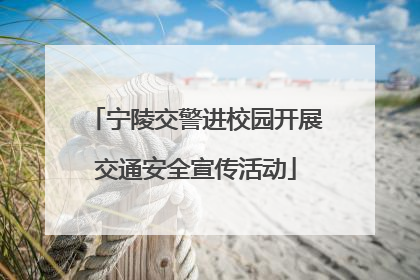 宁陵交警进校园开展交通安全宣传活动