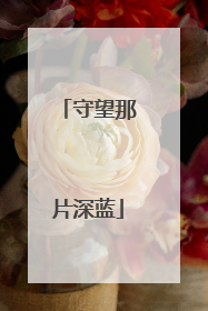 守望那片深蓝
