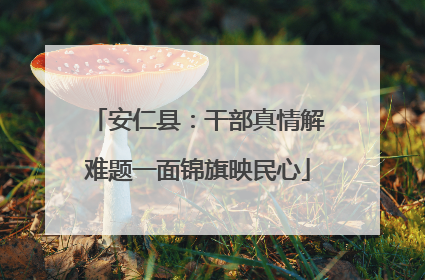 安仁县：干部真情解难题一面锦旗映民心