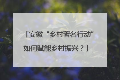 安徽“乡村著名行动”如何赋能乡村振兴？