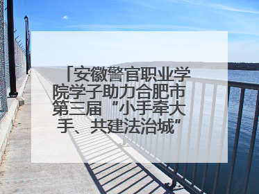 安徽警官职业学院学子助力合肥市第三届“小手牵大手、共建法治城”公益普法活动