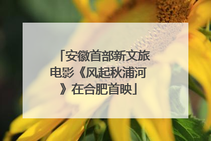 安徽首部新文旅电影《风起秋浦河》在合肥首映