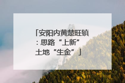 安阳内黄楚旺镇：思路“上新” 土地“生金”