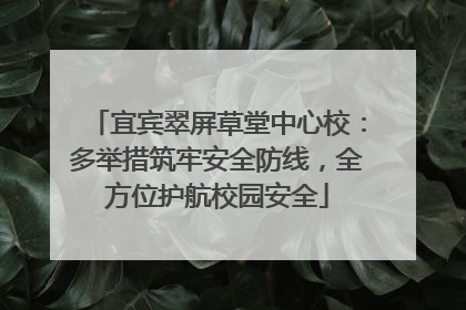 宜宾翠屏草堂中心校：多举措筑牢安全防线，全方位护航校园安全
