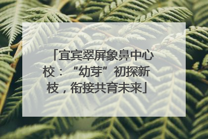 宜宾翠屏象鼻中心校：“幼芽”初探新枝，衔接共育未来