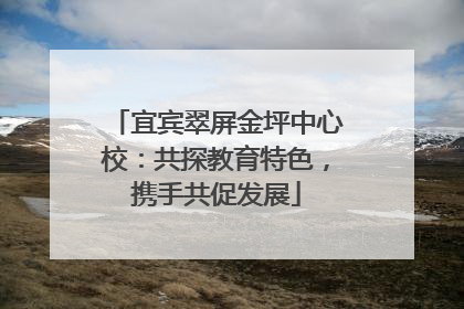 宜宾翠屏金坪中心校：共探教育特色，携手共促发展