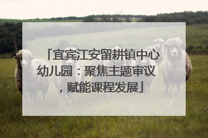 宜宾江安留耕镇中心幼儿园：聚焦主题审议，赋能课程发展