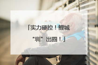 实力硬控！鲤城“圳”出圈！