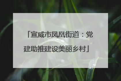 宣威市凤凰街道：党建助推建设美丽乡村