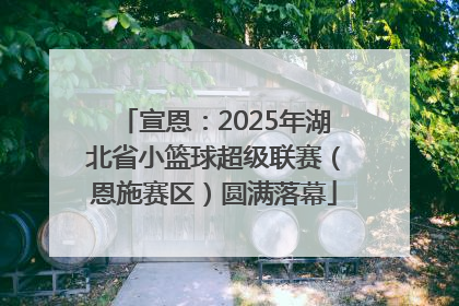 宣恩：2025年湖北省小篮球超级联赛（恩施赛区）圆满落幕