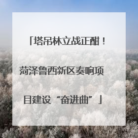 塔吊林立战正酣！菏泽鲁西新区奏响项目建设“奋进曲”