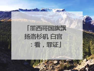 墨西哥国旗飘扬洛杉矶 白宫：看，罪证