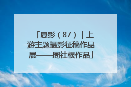 夏影（87）｜上游主题摄影征稿作品展——周社根作品