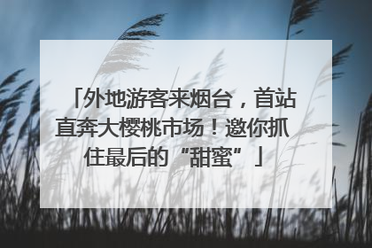 外地游客来烟台，首站直奔大樱桃市场！邀你抓住最后的“甜蜜”