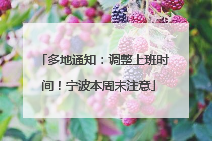 多地通知：调整上班时间！宁波本周末注意