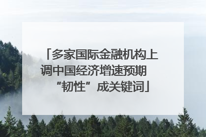 多家国际金融机构上调中国经济增速预期 “韧性”成关键词