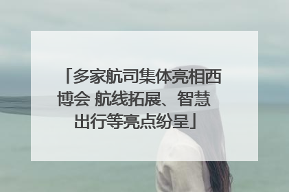 多家航司集体亮相西博会 航线拓展、智慧出行等亮点纷呈