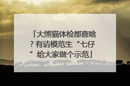 大熊猫体检都查啥？有请模范生“七仔”给大家做个示范