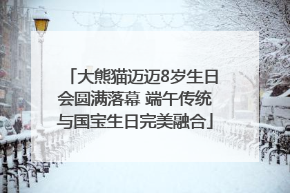 大熊猫迈迈8岁生日会圆满落幕 端午传统与国宝生日完美融合