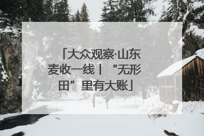 大众观察·山东麦收一线丨“无形田”里有大账