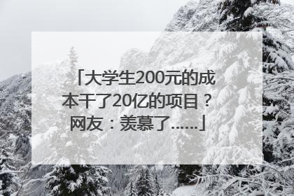 大学生200元的成本干了20亿的项目？网友：羡慕了……