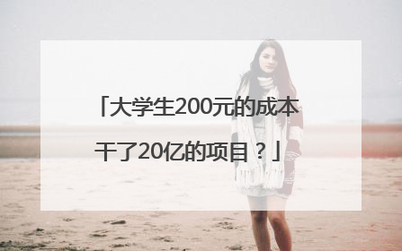 大学生200元的成本干了20亿的项目？