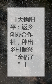 大悟阳平：返乡创办合作社，种出乡村振兴“金稻子”