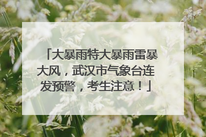 大暴雨特大暴雨雷暴大风，武汉市气象台连发预警，考生注意！