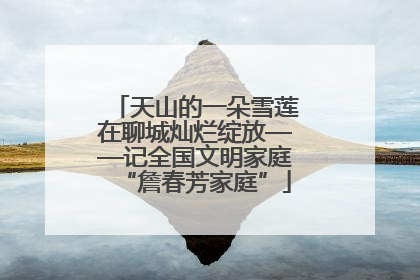 天山的一朵雪莲在聊城灿烂绽放——记全国文明家庭“詹春芳家庭”