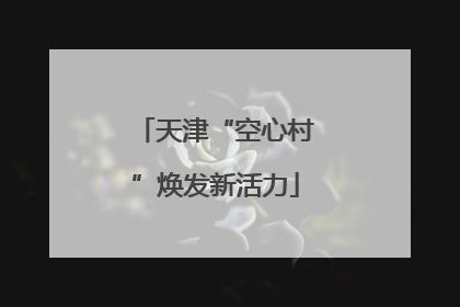 天津“空心村”焕发新活力