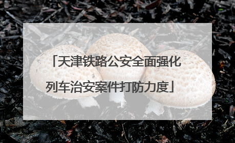 天津铁路公安全面强化列车治安案件打防力度
