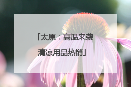 太原：高温来袭 清凉用品热销
