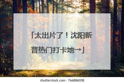 太出片了！沈阳新晋热门打卡地→