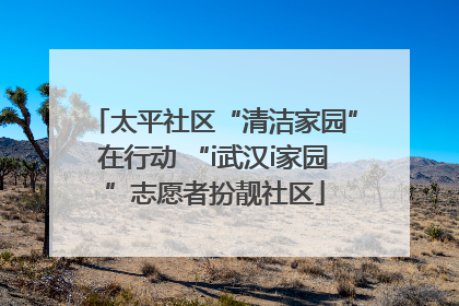 太平社区“清洁家园”在行动 “i武汉i家园”志愿者扮靓社区