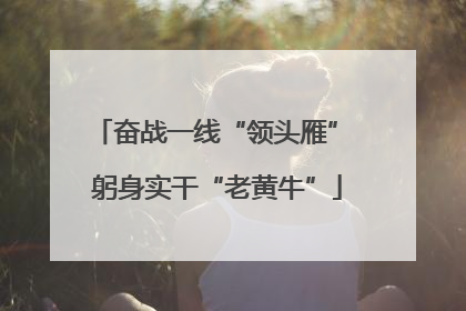 奋战一线“领头雁” 躬身实干“老黄牛”