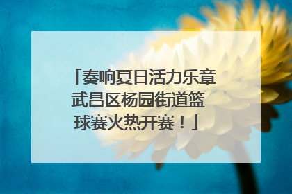 奏响夏日活力乐章 武昌区杨园街道篮球赛火热开赛！