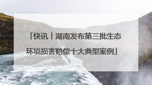快讯丨湖南发布第三批生态环境损害赔偿十大典型案例