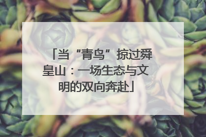 当“青鸟”掠过舜皇山：一场生态与文明的双向奔赴