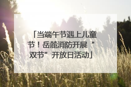 当端午节遇上儿童节！岳麓消防开展“双节”开放日活动