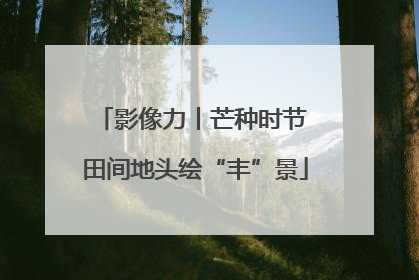 影像力丨芒种时节 田间地头绘“丰”景