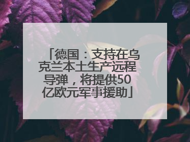 德国：支持在乌克兰本土生产远程导弹，将提供50亿欧元军事援助
