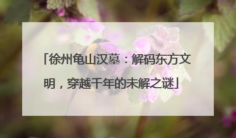 徐州龟山汉墓：解码东方文明，穿越千年的未解之谜
