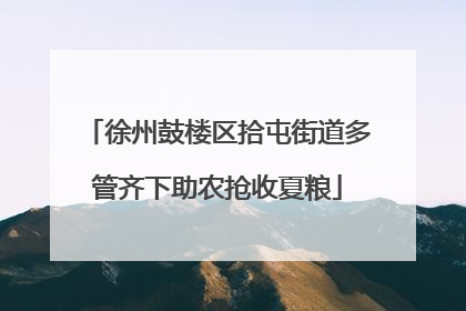 徐州鼓楼区拾屯街道多管齐下助农抢收夏粮
