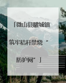 微山县驩城镇筑牢秸秆禁烧“防护网”