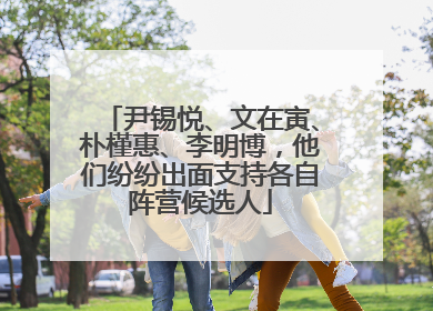 尹锡悦、文在寅、朴槿惠、李明博，他们纷纷出面支持各自阵营候选人
