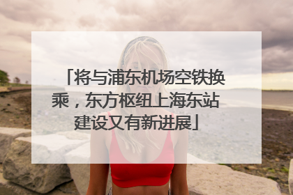 将与浦东机场空铁换乘，东方枢纽上海东站建设又有新进展