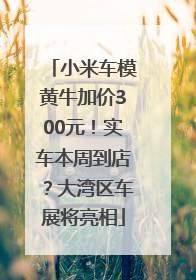小米车模黄牛加价300元！实车本周到店？大湾区车展将亮相
