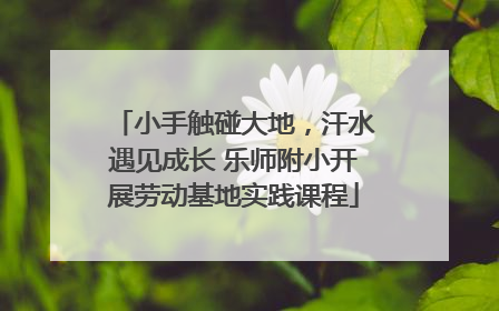 小手触碰大地，汗水遇见成长 乐师附小开展劳动基地实践课程